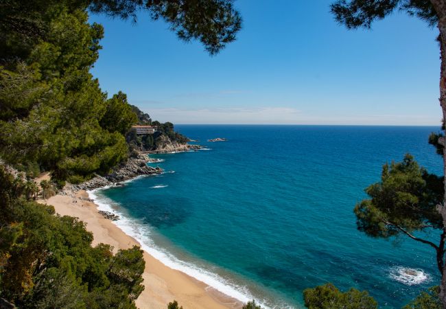 Villa à Tossa de Mar - Villa Porto Pi Villa à Tossa de Mar - Villa Porto Pi