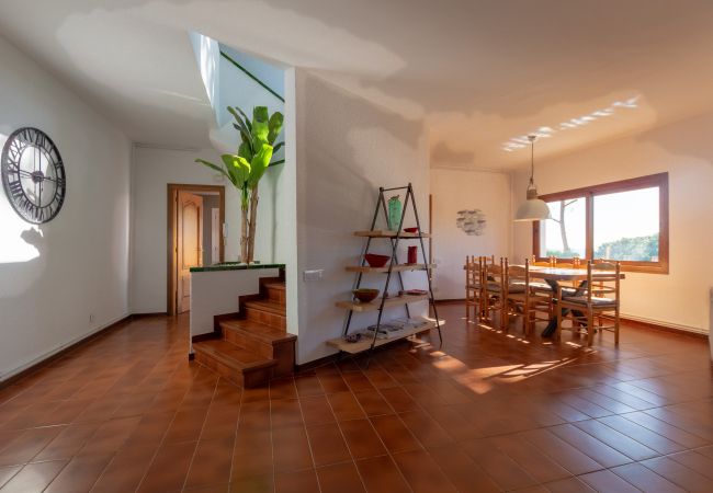 Villa in Blanes - Villa El Olivo Villa in Blanes - Villa El Olivo