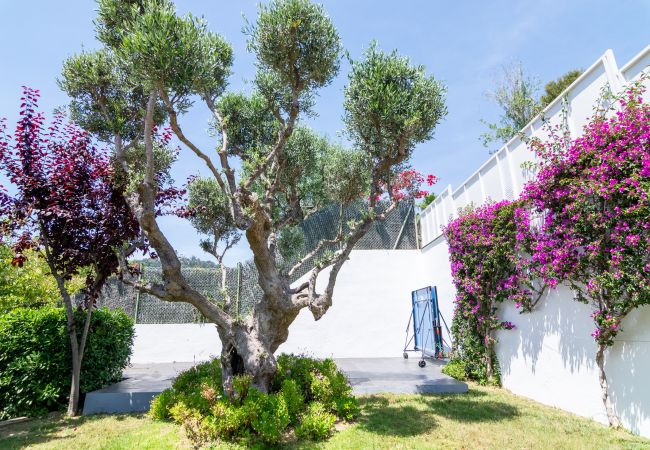 Villa in Blanes - Villa El Olivo Villa in Blanes - Villa El Olivo