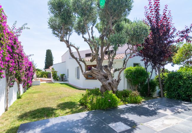 Villa in Blanes - Villa El Olivo Villa in Blanes - Villa El Olivo